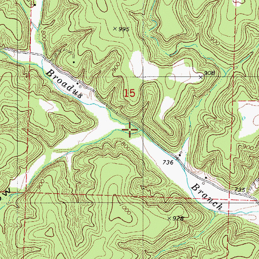 Topographic Map of Cave Hollow, MO