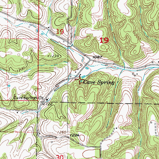 Topographic Map of Cave Spring, MO