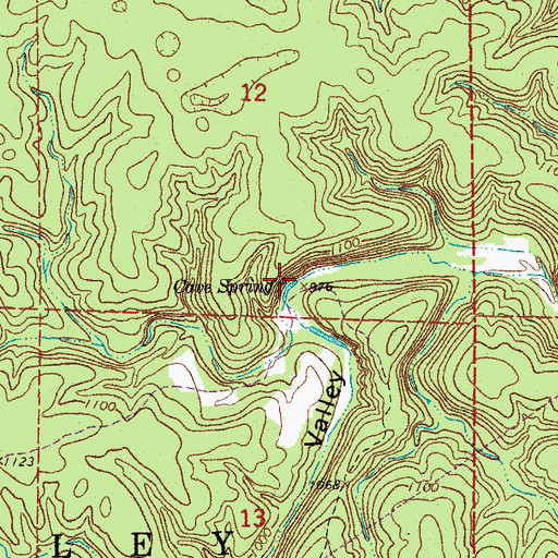 Topographic Map of Cave Spring, MO