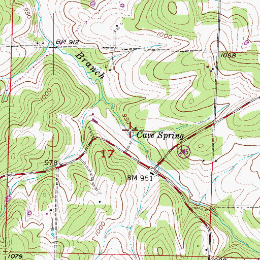 Topographic Map of Cave Spring, MO
