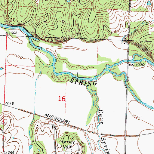 Topographic Map of Cave Spring Branch, MO
