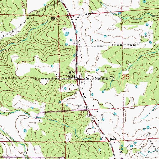 Topographic Map of Cave Spring Church, MO