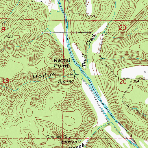 Topographic Map of Cave Spring Hollow, MO