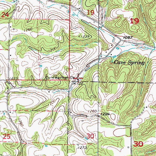 Topographic Map of Cave Springs Church, MO