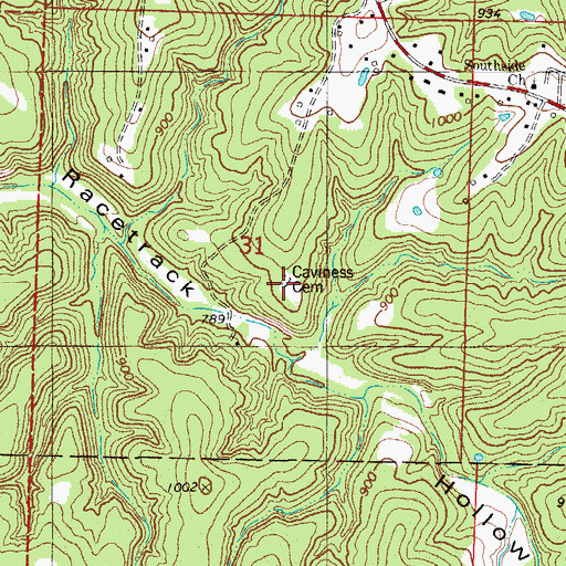 Topographic Map of Caviness Cemetery, MO
