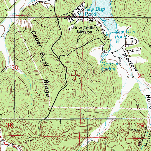 Topographic Map of Cedar Bluff Ridge, MO