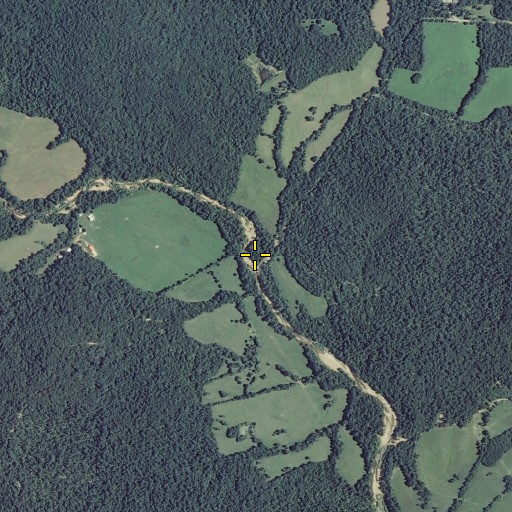 Aerial/Satellite Image of Cedar Branch, MO