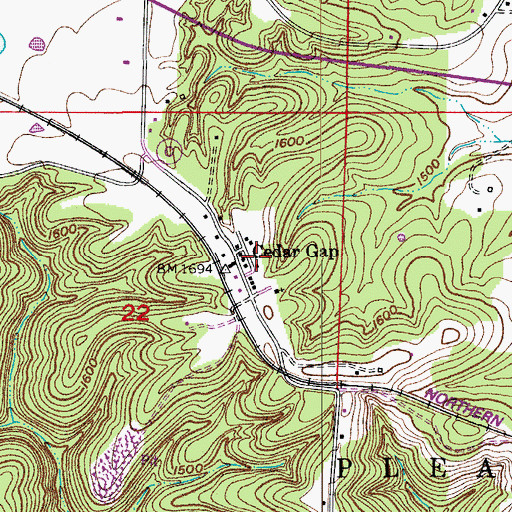 Topographic Map of Cedar Gap, MO