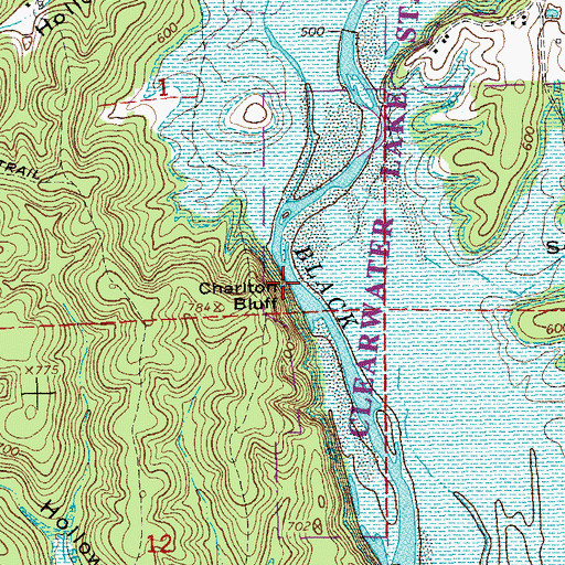 Topographic Map of Charlton Bluff, MO