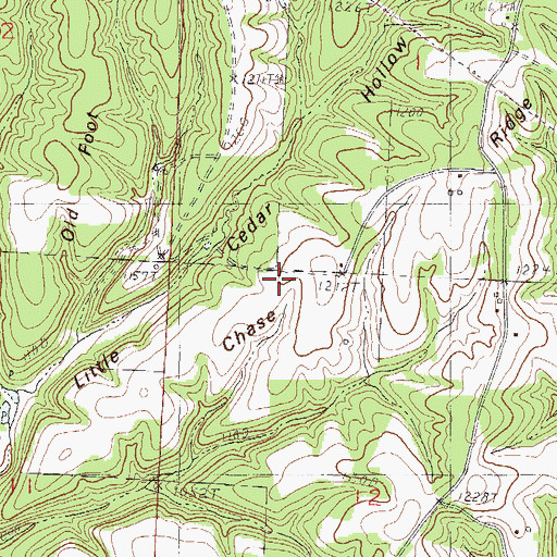Topographic Map of Chase Ridge, MO
