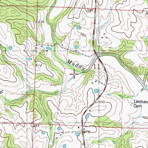 Topographic Map of Cheek Creek, MO