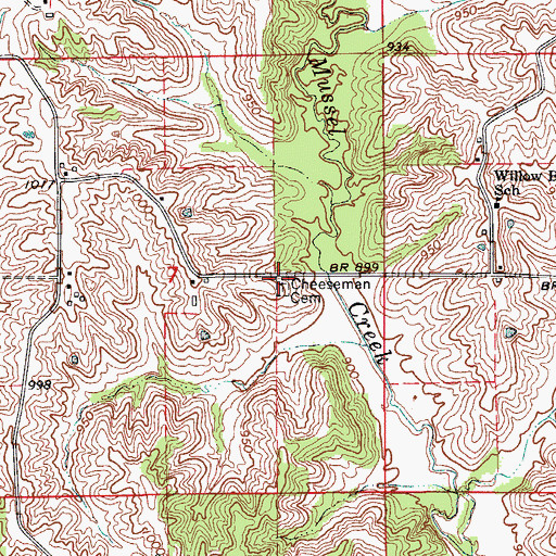 Topographic Map of Cheeseman Cemetery, MO