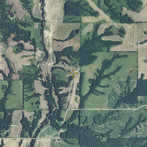Aerial/Satellite Image of Cherokee School, MO