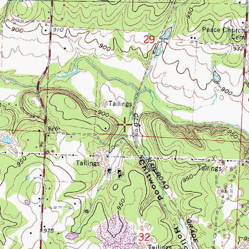 Topographic Map of Chitwood Hollow, MO