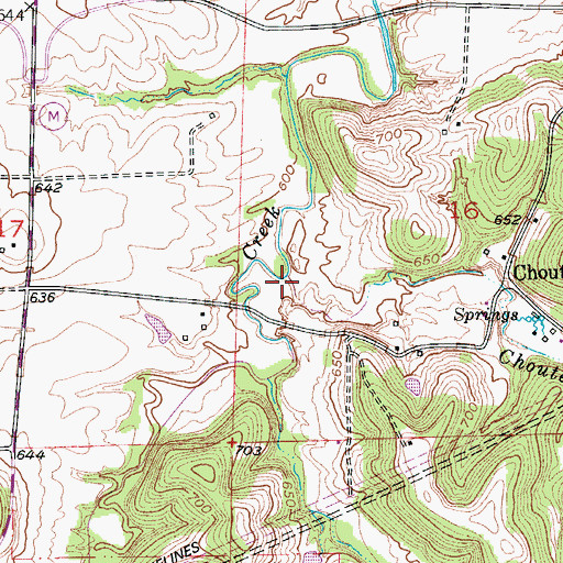 Topographic Map of Chouteau Branch, MO