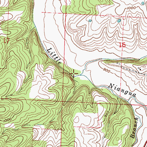 Topographic Map of Coatney Branch, MO