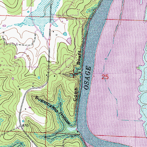 Topographic Map of Cobb Bluff, MO