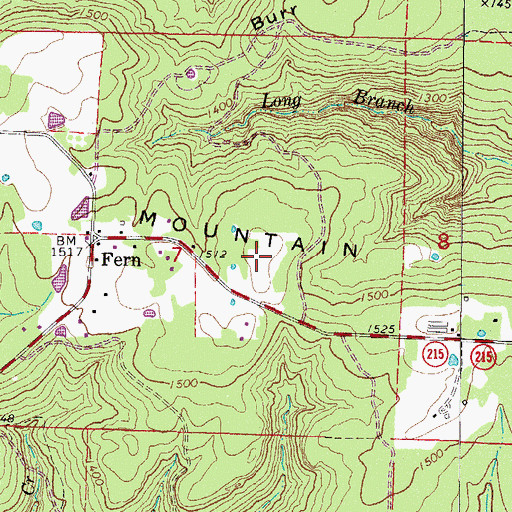 Topographic Map of Fern Mountain, AR