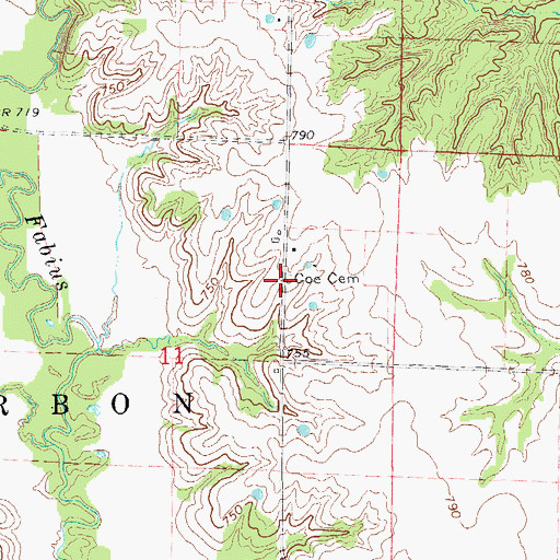 Topographic Map of Coe Cemetery, MO