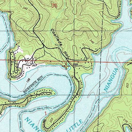 Topographic Map of Coelleda Hollow, MO