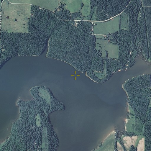 Aerial/Satellite Image of Coffman Branch, MO