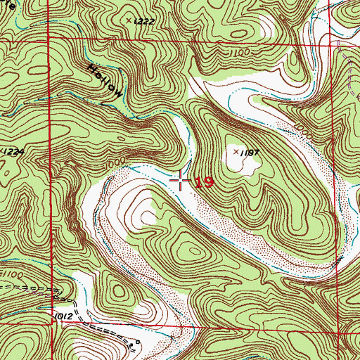 Topographic Map of Cole Hollow, MO