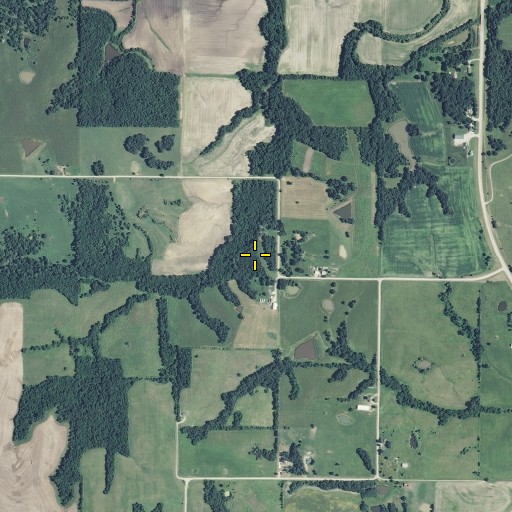 Aerial/Satellite Image of Cole School (historical), MO