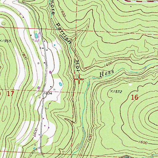 Topographic Map of Filmore Parrish Hollow, AR
