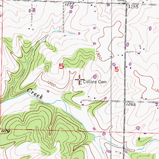 Topographic Map of Collins Cemetery, MO