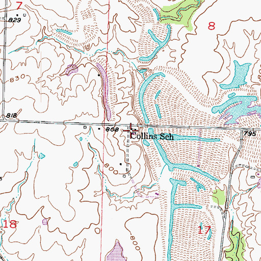 Topographic Map of Collins School (historical), MO