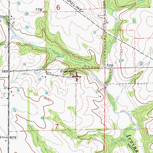 Topographic Map of Concord Church, MO