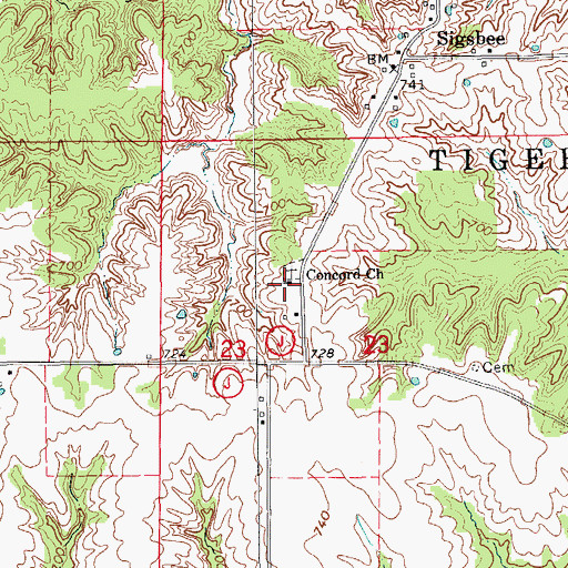 Topographic Map of Concord Church, MO
