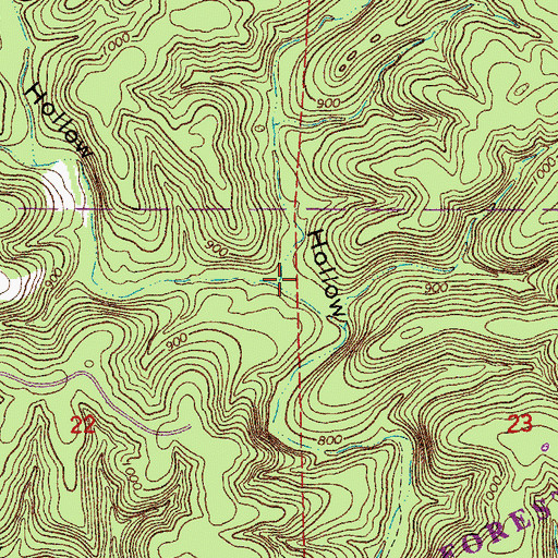 Topographic Map of Conner Hollow, MO