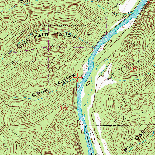 Topographic Map of Cook Hollow, MO