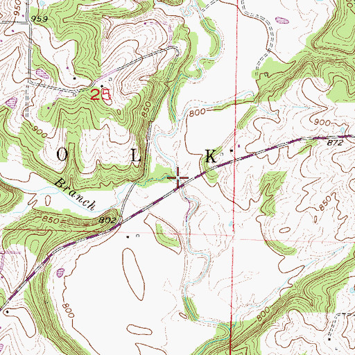 Topographic Map of Coon Branch, MO