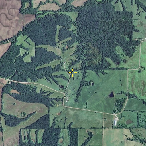 Aerial/Satellite Image of Coon Church, MO