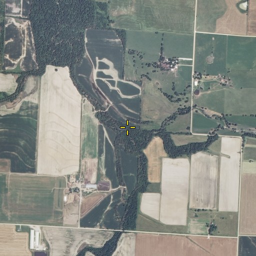 Aerial/Satellite Image of Coon Creek, MO