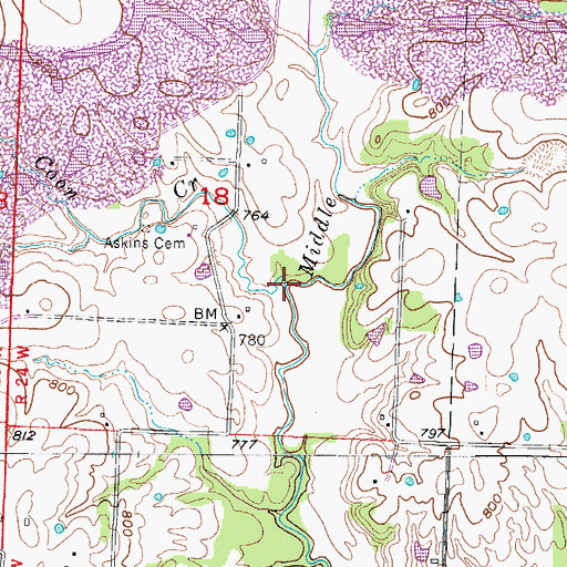 Topographic Map of Coon Creek, MO