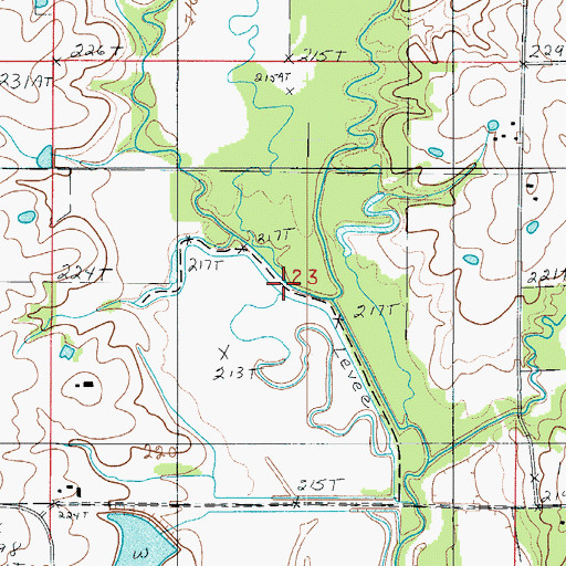 Topographic Map of Coon Creek, MO