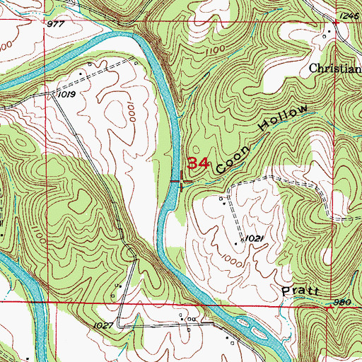 Topographic Map of Coon Hollow, MO