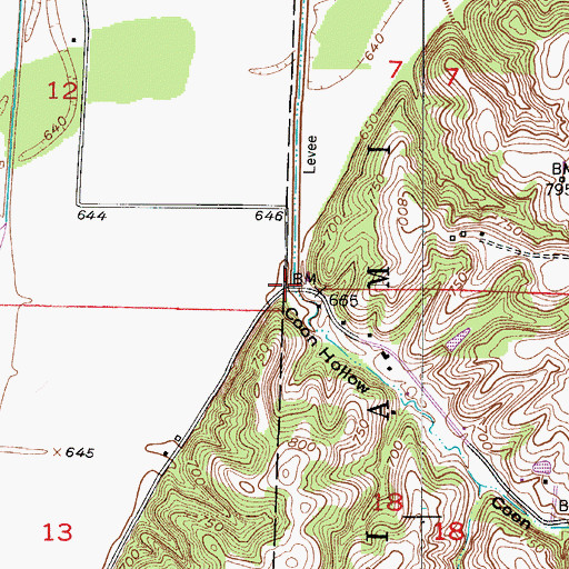 Topographic Map of Coon Hollow, MO