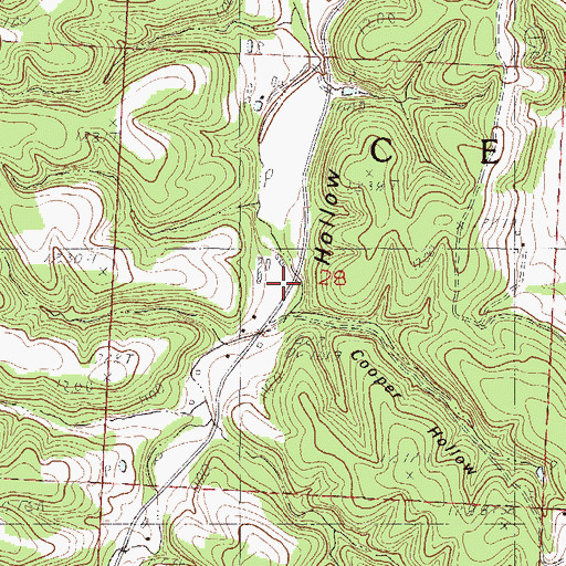 Topographic Map of Cooper Hollow, MO