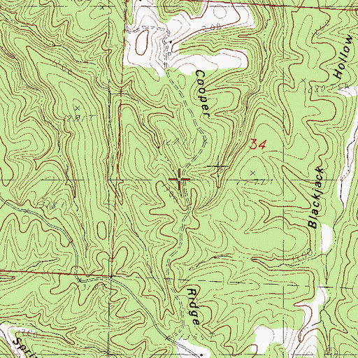 Topographic Map of Cooper Ridge, MO