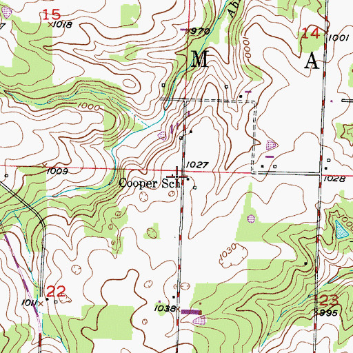 Topographic Map of Cooper School, MO