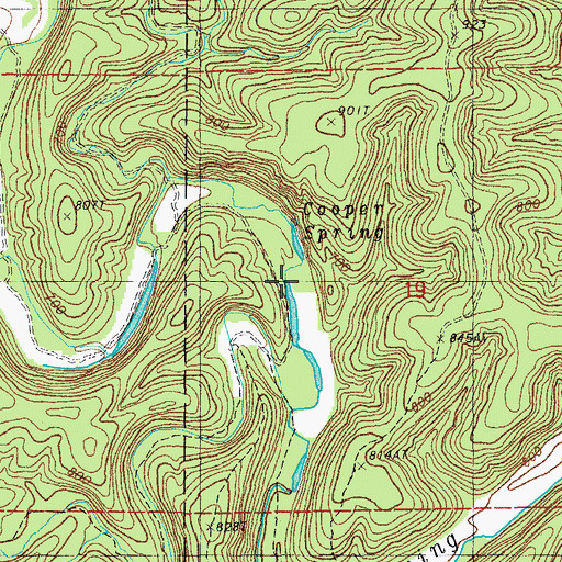 Topographic Map of Cooper Spring, MO