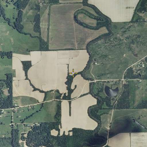 Aerial/Satellite Image of Cope Branch, MO