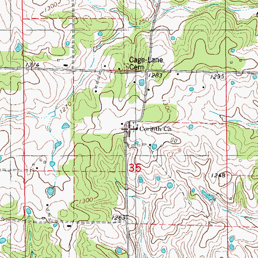 Topographic Map of Corinth Church, MO