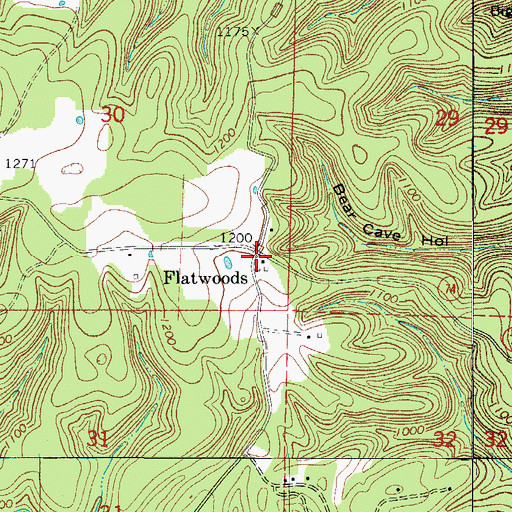 Topographic Map of Flatwoods, AR