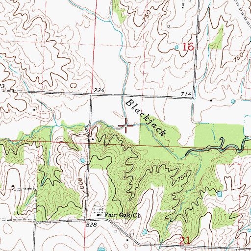 Topographic Map of Cottonwood Branch, MO