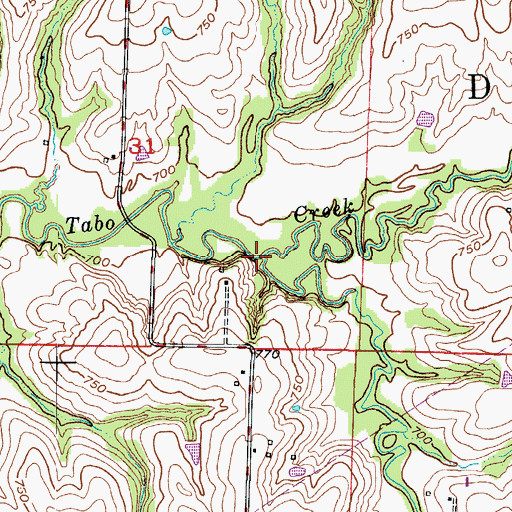 Topographic Map of Cottonwood Creek, MO